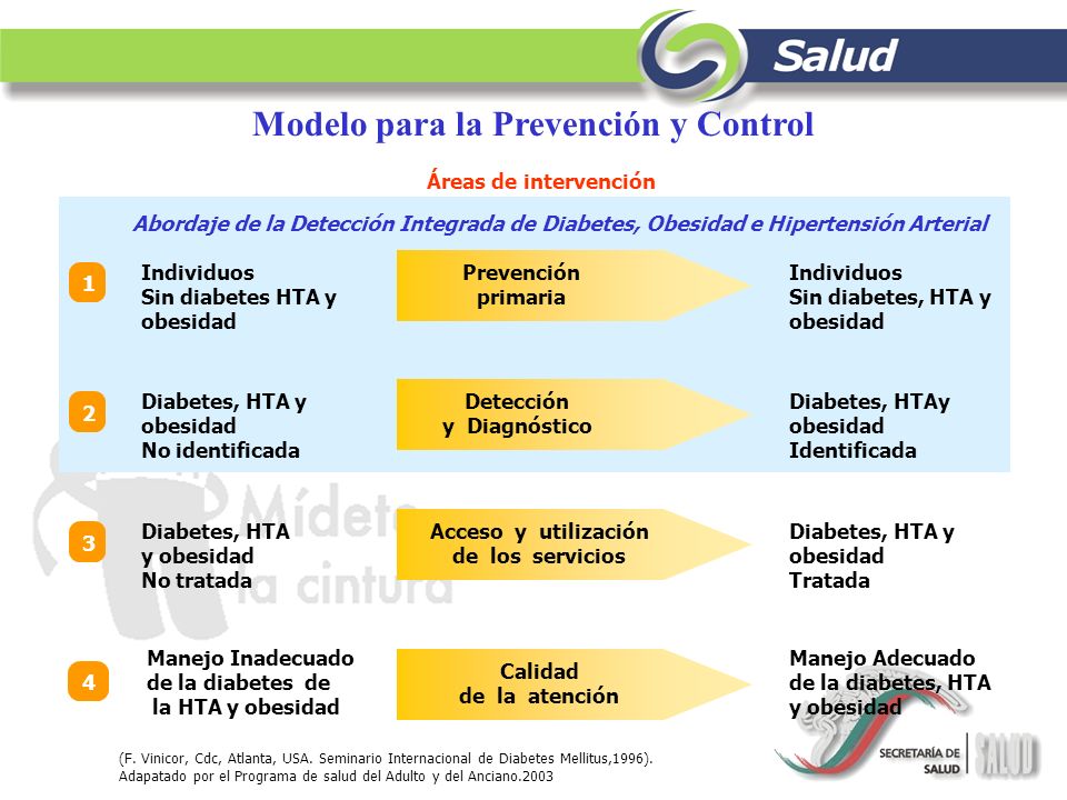 programa de prevención y control de diabetes mellitus programa de prevención y control de diabetes mellitus